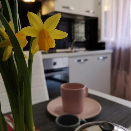 La Casaffittiera Group Holiday home Anzio